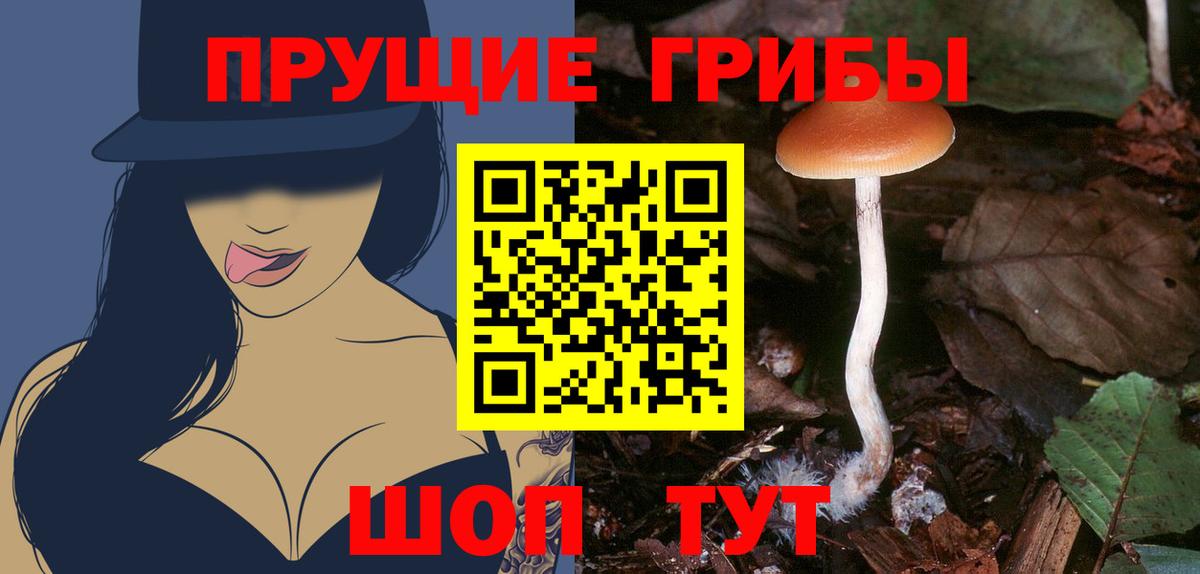 Псилоцибиновые грибы Magic Shrooms  Вход с VPN  Кисловодск 